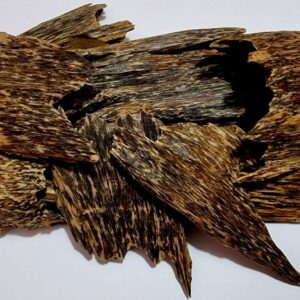 AQUILARIA CRASSNA DRILLED OUD AA 20 GM