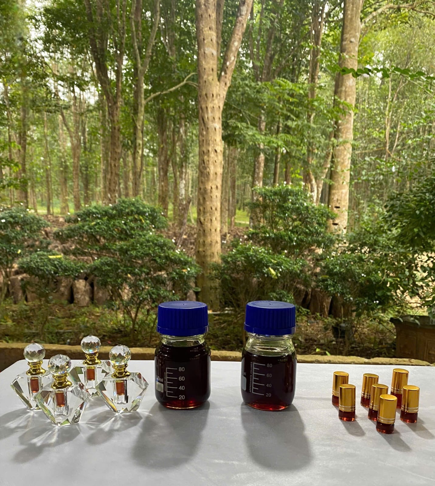 AQUILARIA CRASSNA OUD OIL AAA+ OLD TREE VIETNAM 2 ML - Image 4