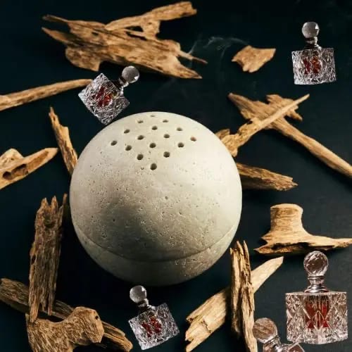 Aquilaria Crassna Ant Oud AA 20 gm - Image 2