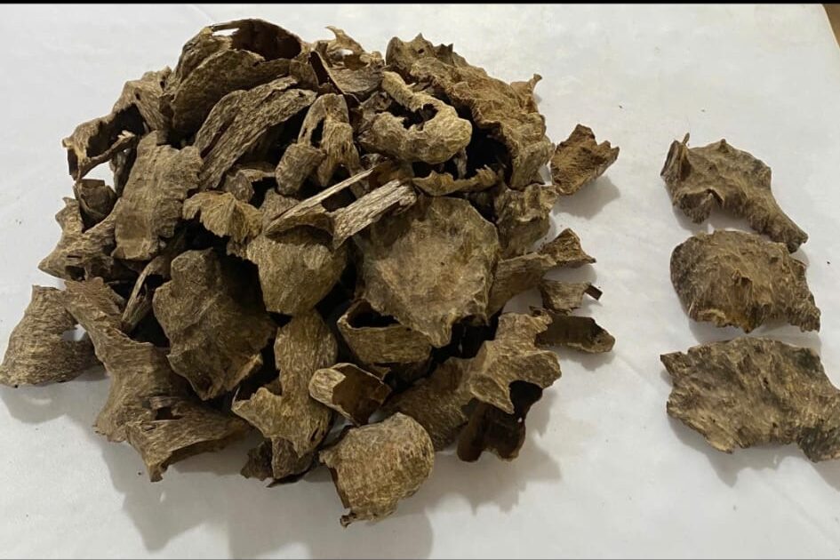 Aquilaria Crassna Chiseled Oud AA 20 GM - Image 2