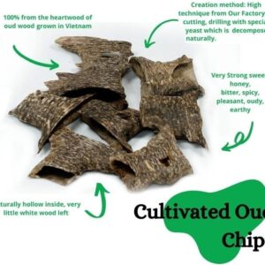 Aquilaria Crassna Chiseled Oud AA 20 GM