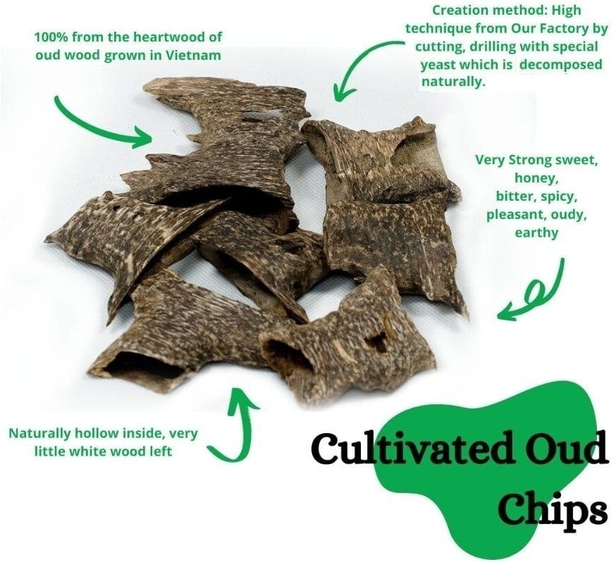 Aquilaria Crassna Chiseled Oud AA 20 GM